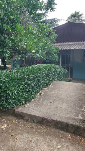 عکس اردوگاه فرهنگی میرزا کوچک خان رامسر