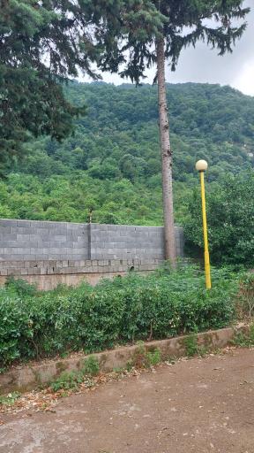 عکس اردوگاه فرهنگی میرزا کوچک خان رامسر