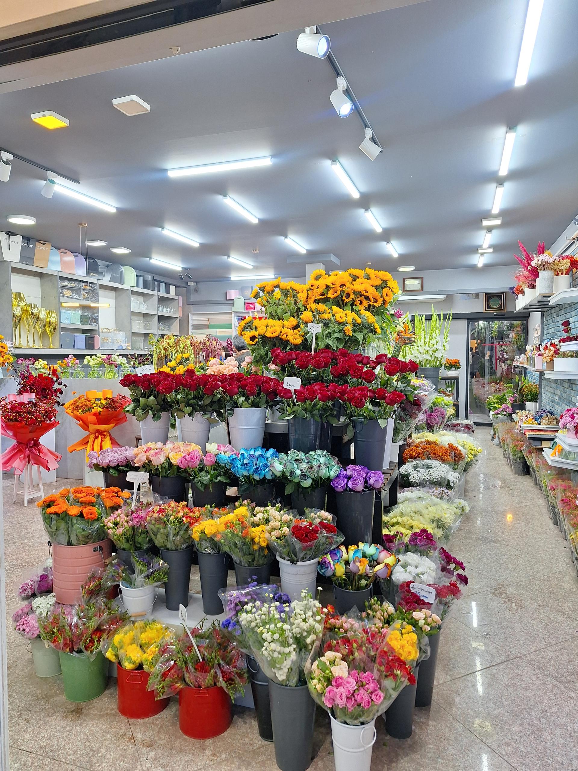 عکس بازار گل و گیاه 