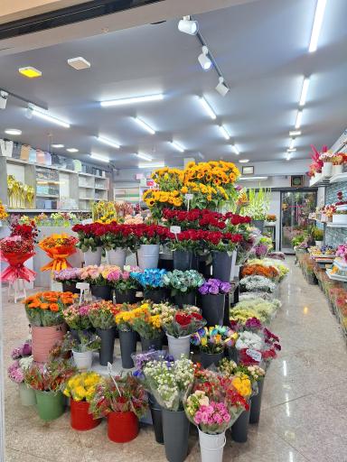 عکس بازار گل و گیاه 