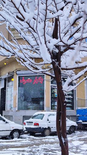 ظروف یکبار مصرف صد پلاست