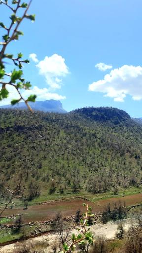 عکس تفرجگاه نام تنگ