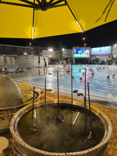 عکس استخر چهارفصل (روباز) باشگاه انقلاب تهران