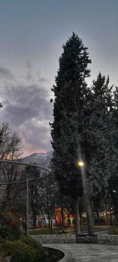 عکس شهربازی کیو پارک