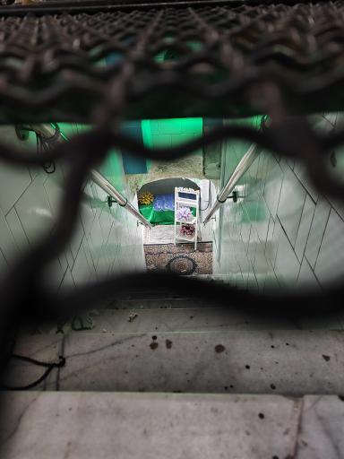 عکس امامزاده شاه محمد تقی(ع)