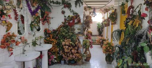 عکس سرویس بهداشتی