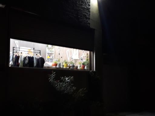 عکس خیاطی و طراحی دوخت یکتا