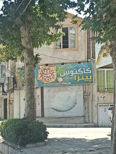 عکس پیتزا کاکتوس