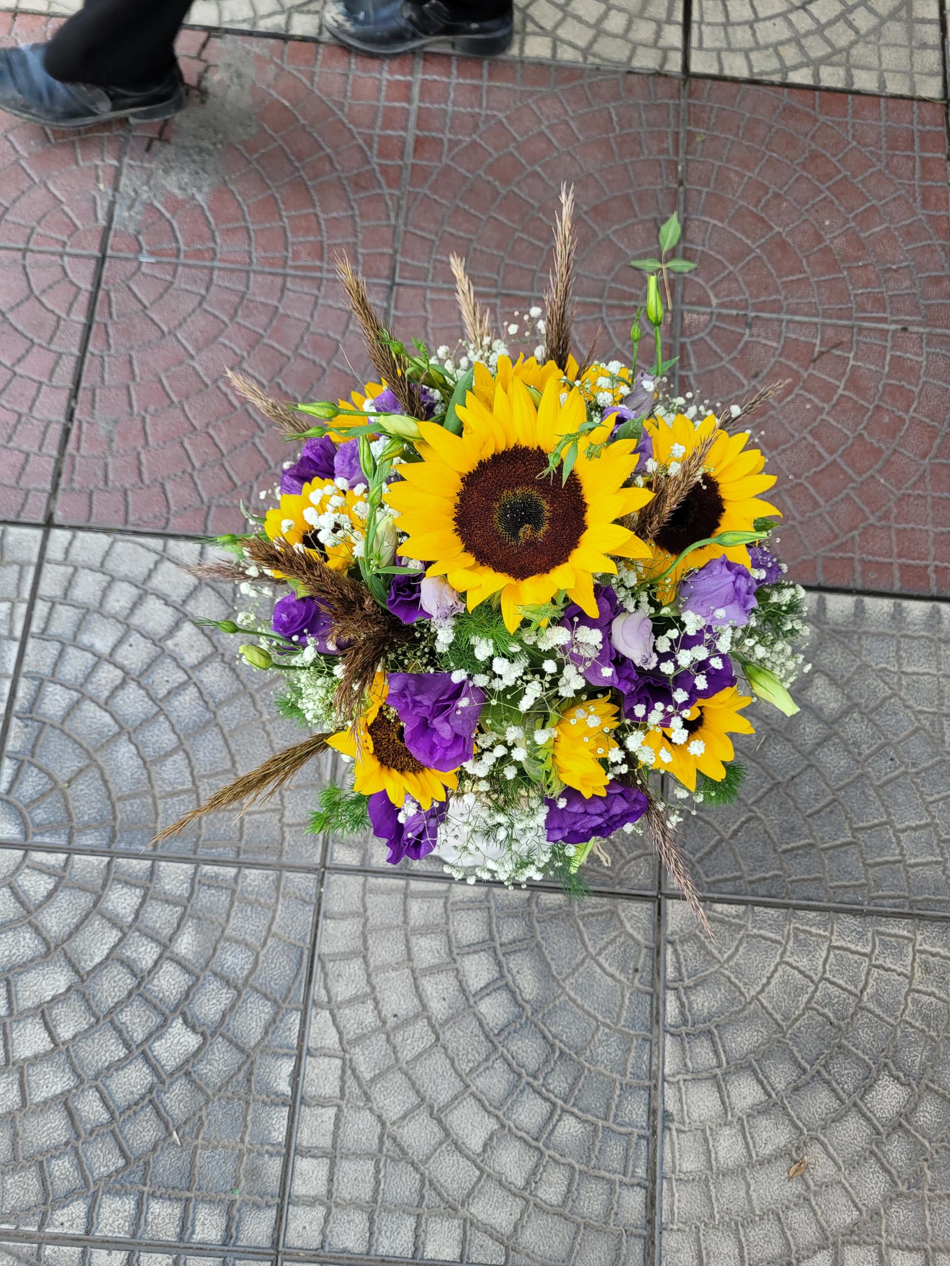 عکس گل سلطانی