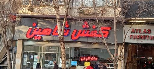 عکس کفش شاهین