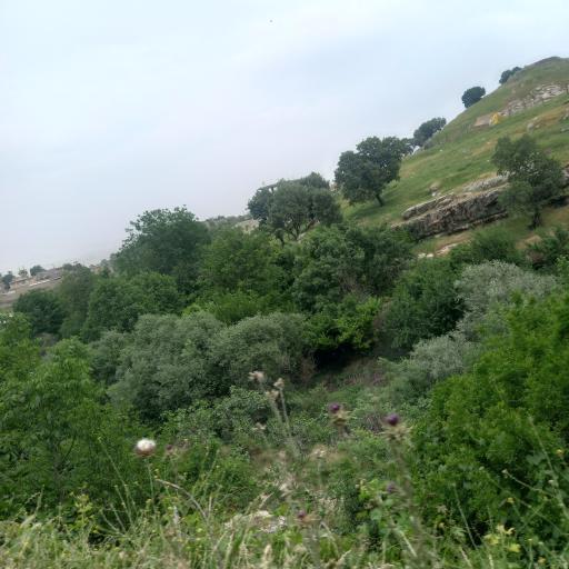 عکس تنگه کافری