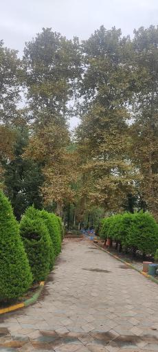 عکس پارک شهر