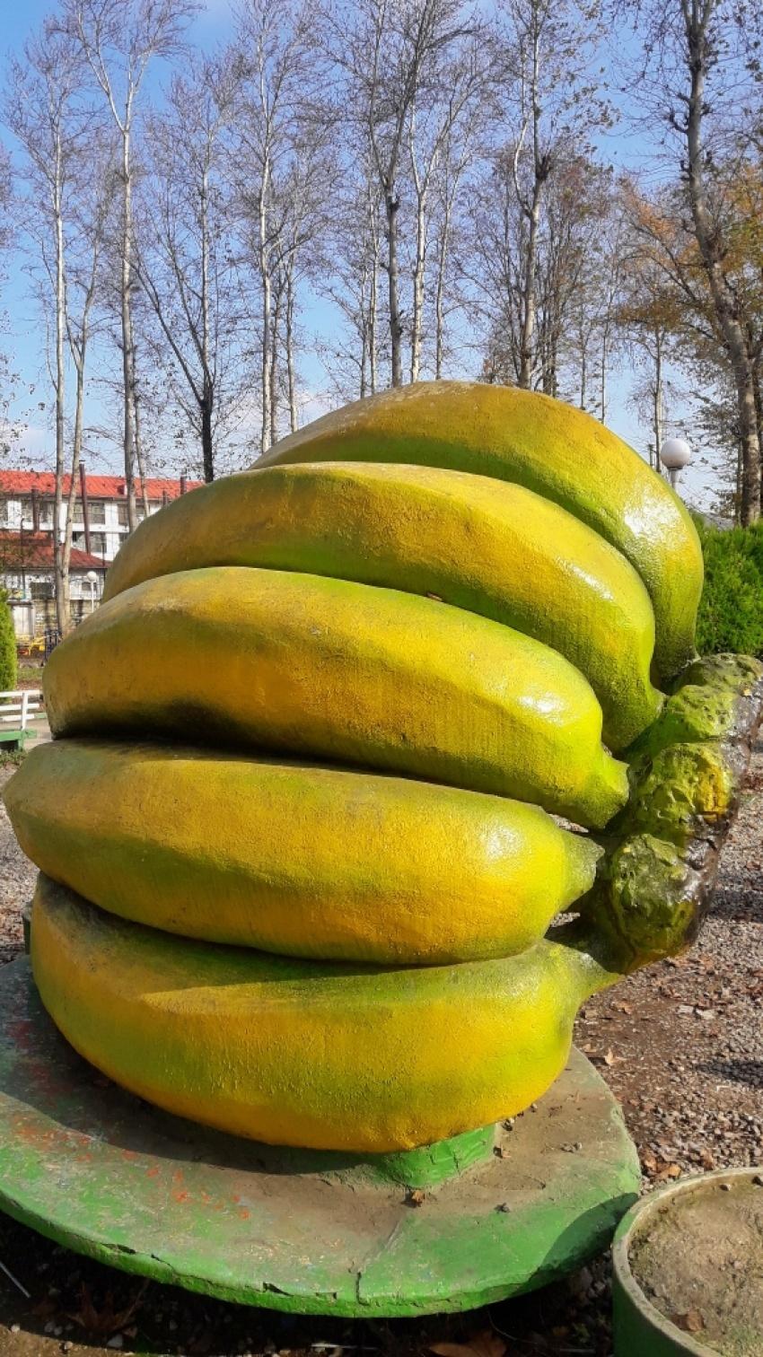 عکس پارک شهر