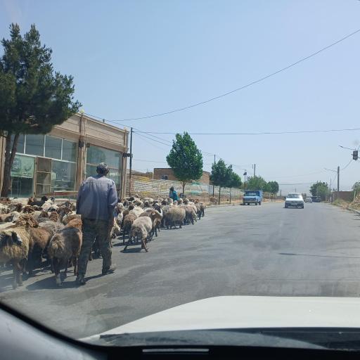 عکس قیطاقی