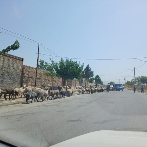 عکس قیطاقی