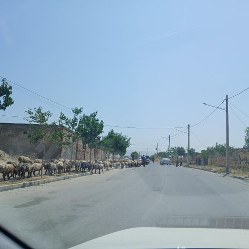 عکس قیطاقی