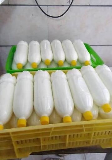 عکس لبنیات و بستنی سنتی آوازه