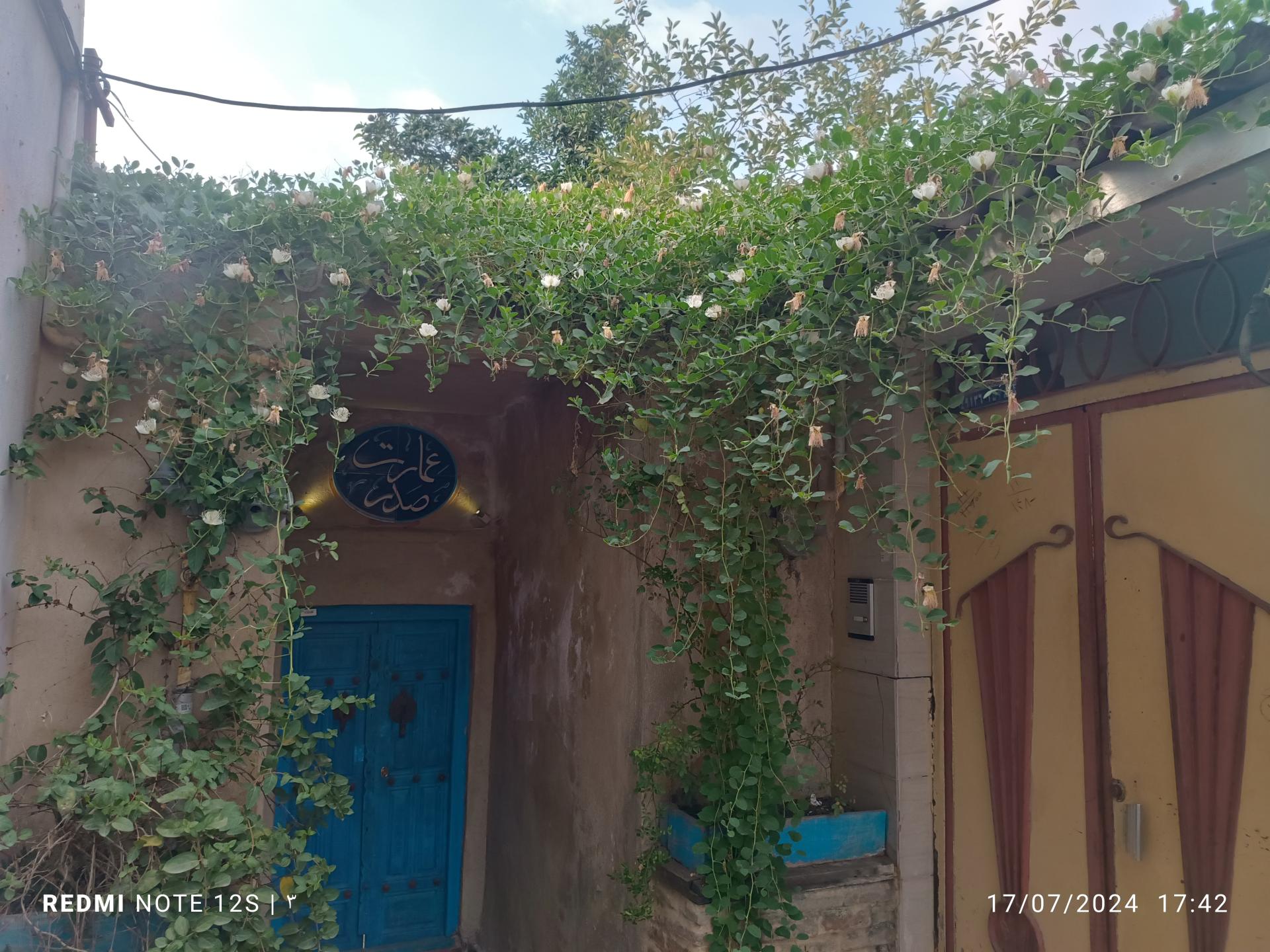 عکس اقامتگاه بومگردی عمارت صدر