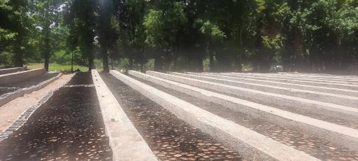 عکس نهالستان اداره کل منابع طبیعی