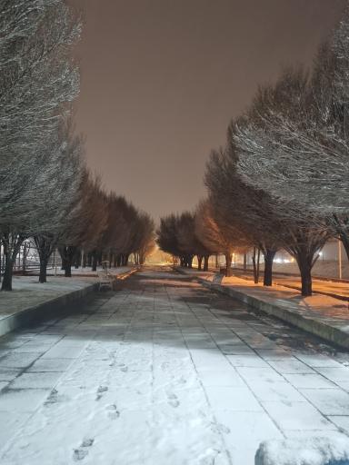 عکس بوستان لاله