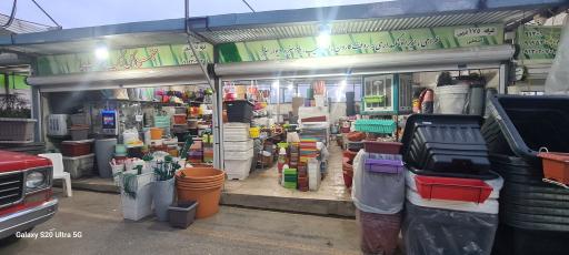 عکس گلدانتو شعبه بابایی