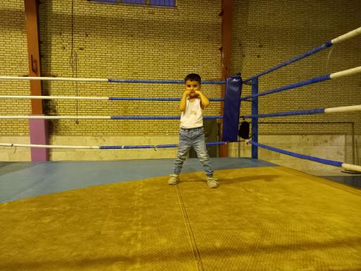 عکس خانه بوکس آراز و یاشار