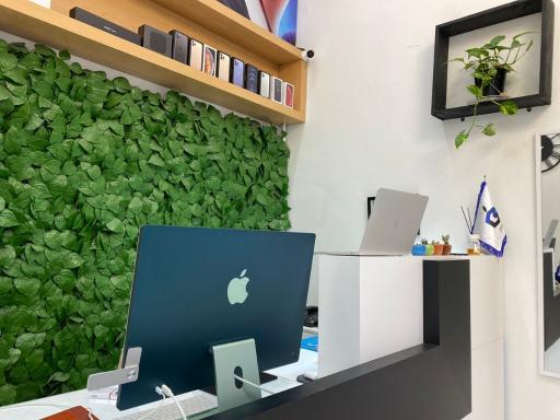 عکس فروشگاه موبایل اپل استور بکان