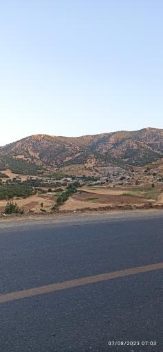 عکس کوخان