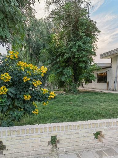 عکس کافه دیمچه 