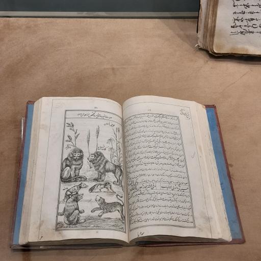 عکس موزه امیرکبیر