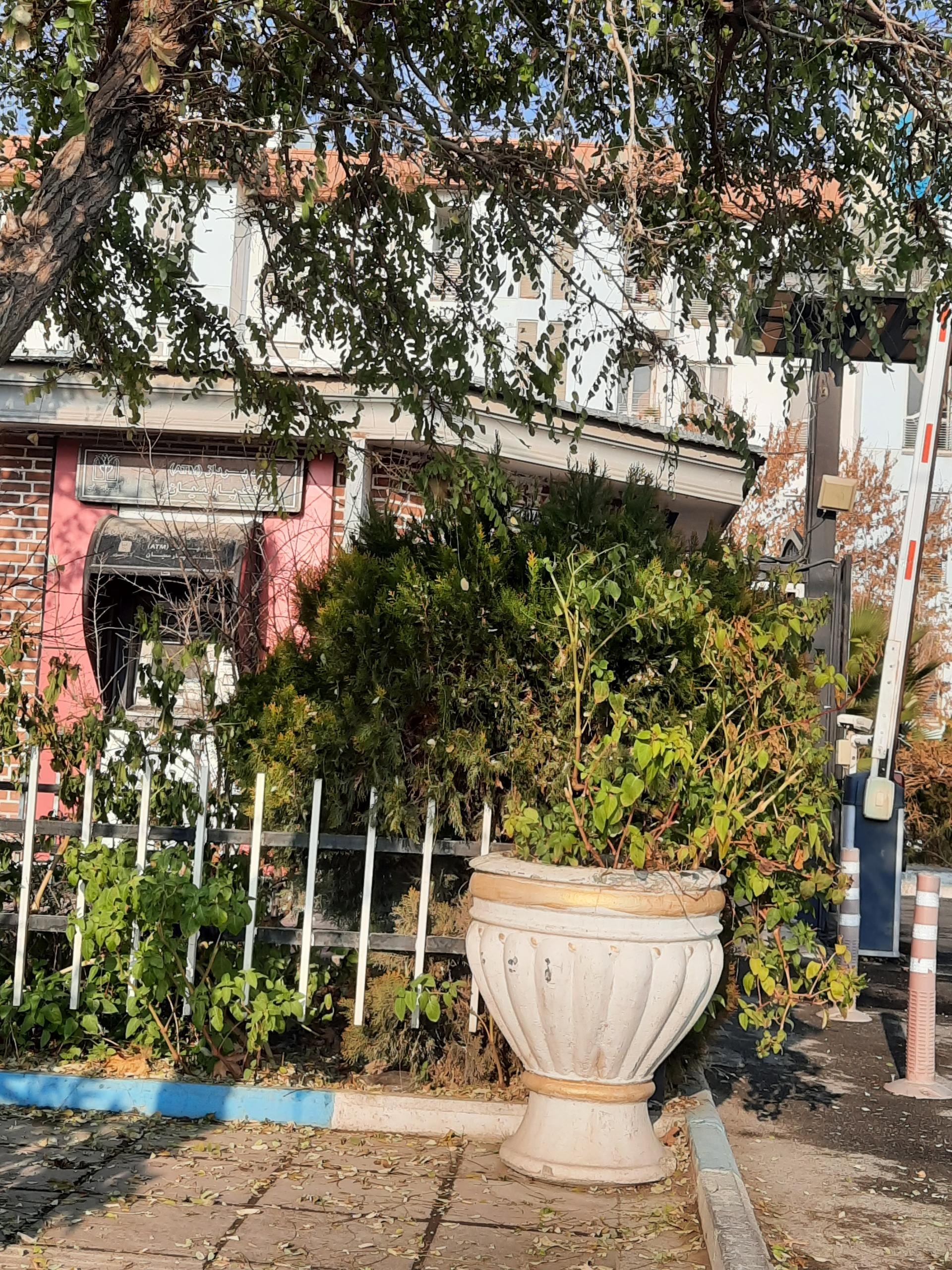 عکس خودپرداز بانک پاسارگاد