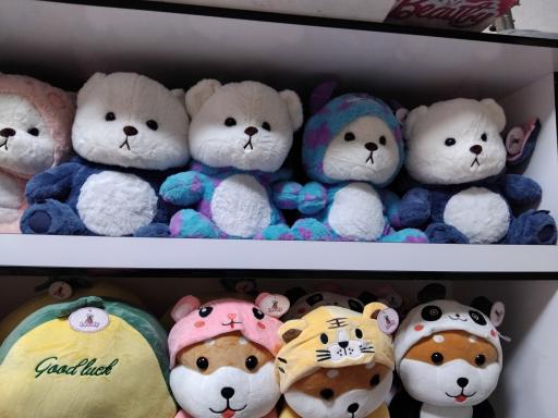 عکس عروسک فروشی امید