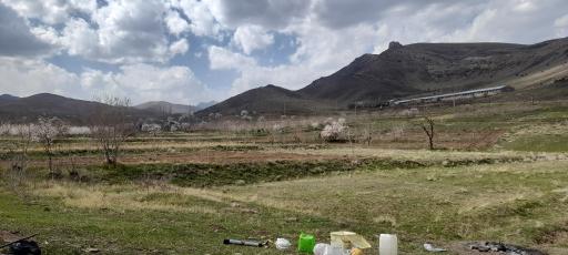 عکس نایه