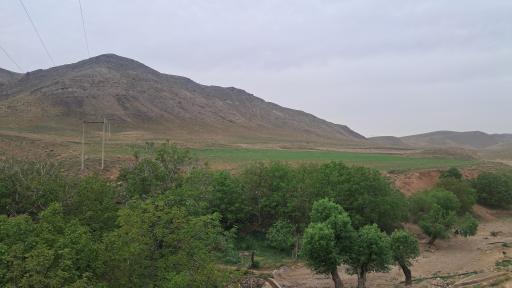 عکس نایه