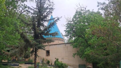 عکس نایه