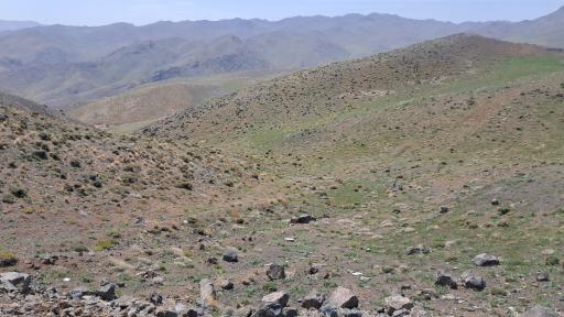 عکس نایه