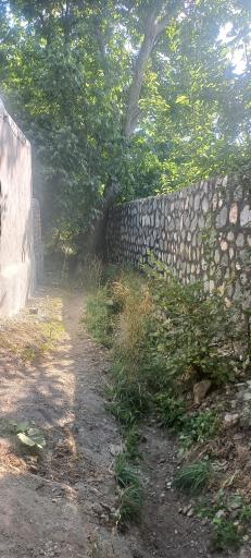 نایه