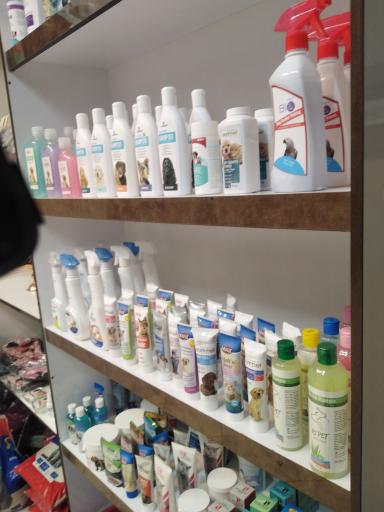 عکس پت شاپ تیمو