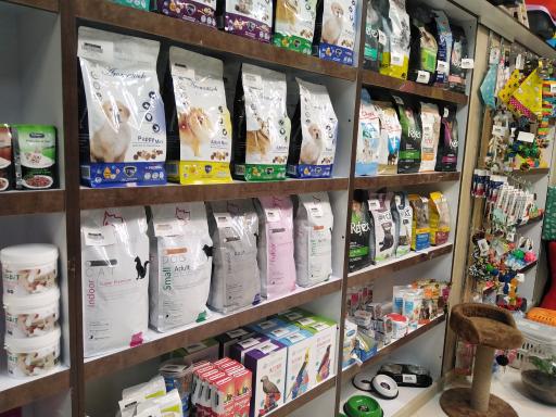 عکس پت شاپ تیمو