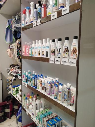 عکس پت شاپ تیمو