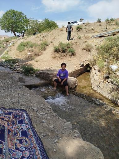 عکس نایه