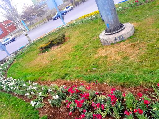 عکس میدان شهرداری