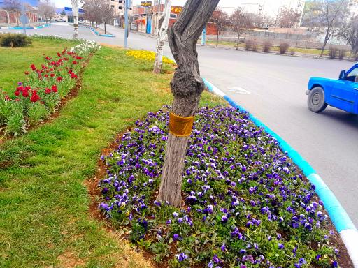 عکس میدان شهرداری