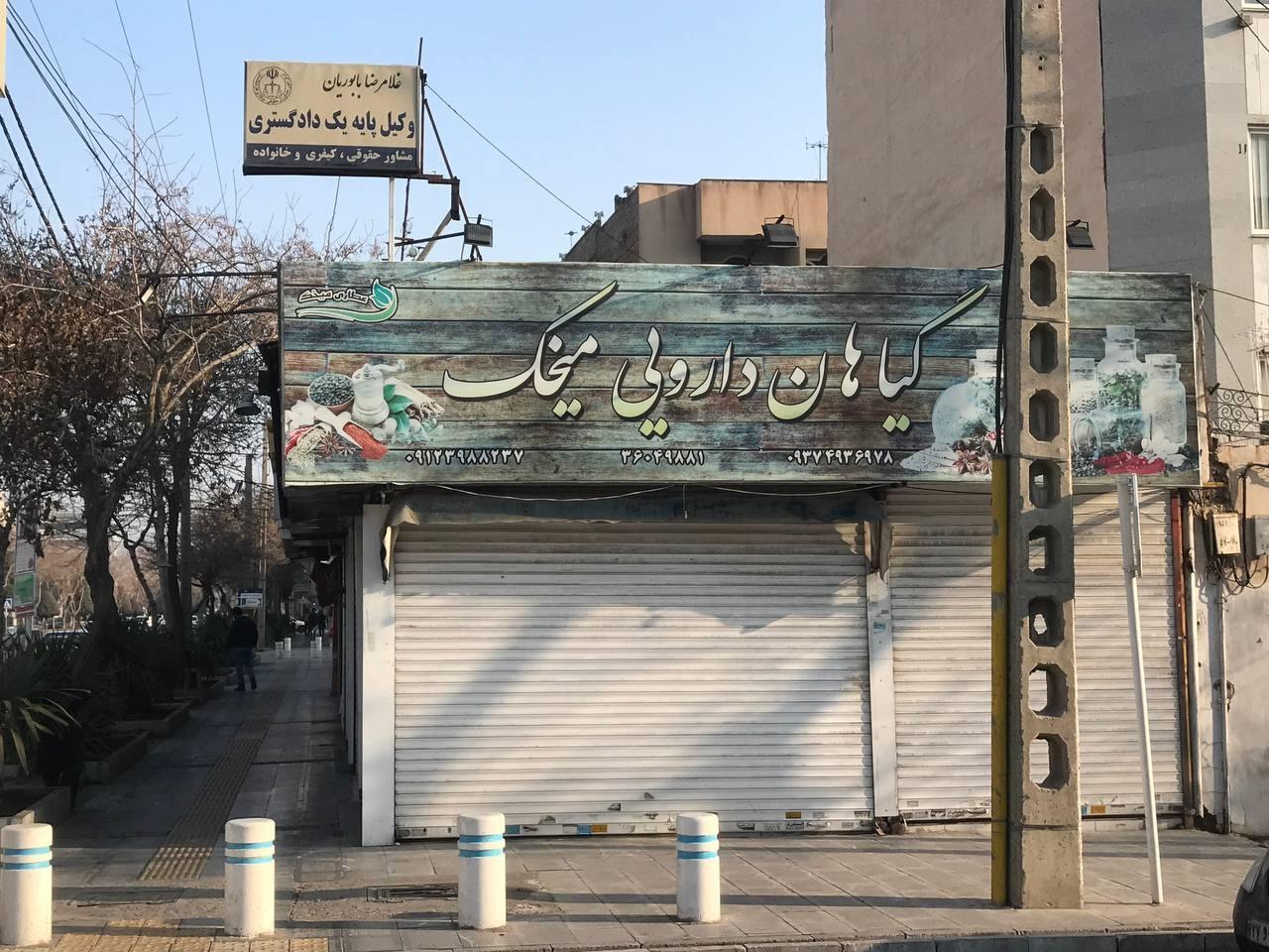 عکس گیاهان دارویی میخک