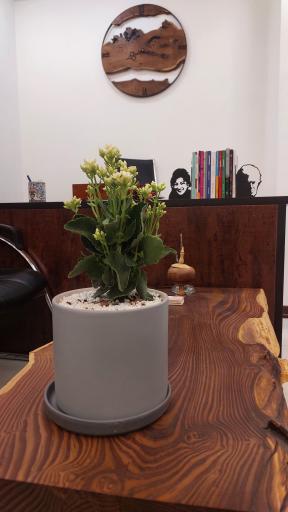 عکس دفتر وکالت مرجان سادات نعمتی