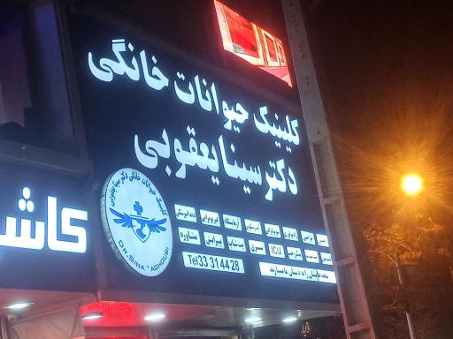 کلینیک حیوانات خانگی دکتر سینا یعقوبی