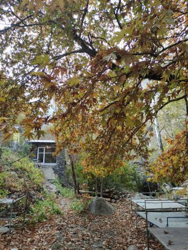 عکس سفره خانه امید