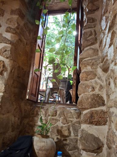 رستوران دوسی