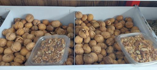 عکس لبنیات نوروزی 