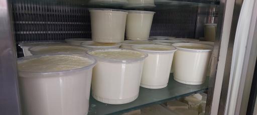 عکس لبنیات نوروزی 